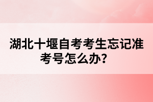 湖北十堰自考考生忘記準(zhǔn)考號怎么辦?