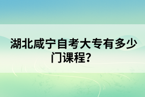 湖北咸寧自考大專有多少門課程?