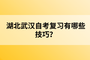 湖北武漢自考復(fù)習(xí)有哪些技巧?