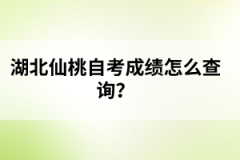 湖北仙桃自考成績怎么查詢?