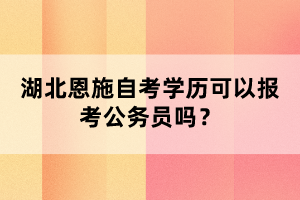 湖北恩施自考學(xué)歷可以報(bào)考公務(wù)員嗎?