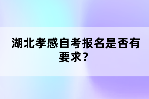 湖北孝感自考報名是否有要求?