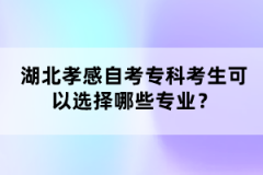 湖北孝感自考專科考生可以選擇哪些專業(yè)?