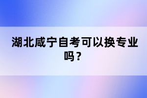 湖北咸寧自考可以換專業(yè)嗎?