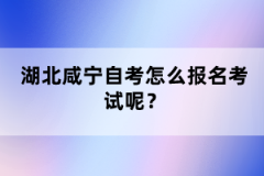 湖北咸寧自考怎么報名考試呢?