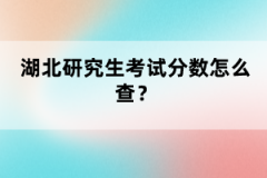 湖北研究生考試分?jǐn)?shù)怎么查?