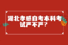 湖北孝感自考本科考試嚴(yán)不嚴(yán)？