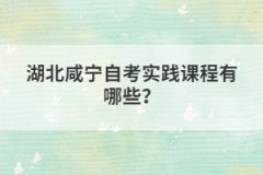 湖北咸寧自考實(shí)踐課程有哪些?