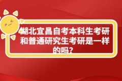 湖北宜昌自考本科生考研和普通研究生考研是一樣的嗎?